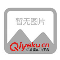 深圳茂藝來生產銷售抱枕、頸枕、抱枕被等(圖)